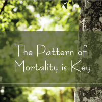 Trees Are Key 254 Pattern of Mortality is Key